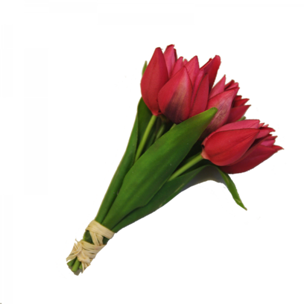 Bukiet Tulipan czerwony