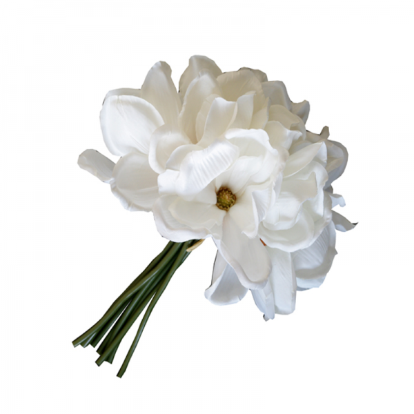 Bukiet Magnolia biała