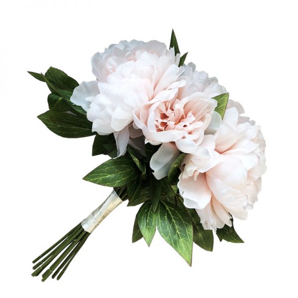 Bukiet Peonia brzoskwiniowa peach XL