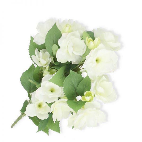 Bukiet Niecierpek Biały White