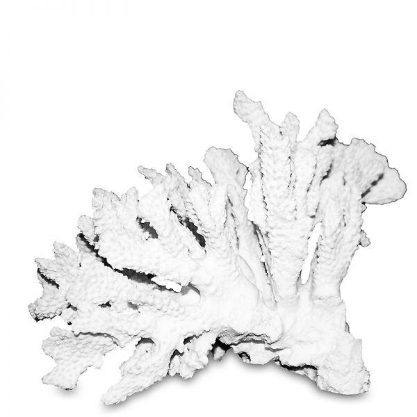 Dekoracja Koralowiec V