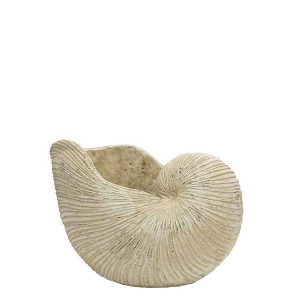 Dekoracja muszla beżowa Shell I 15,5x28x17cm