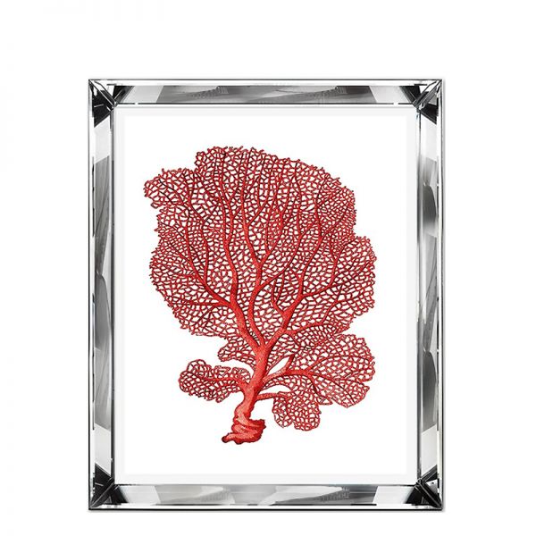Grafika Red Coral w lustrzanej ramie 51x61cm