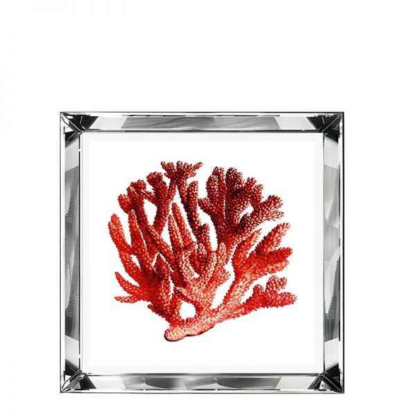 Grafika Red Coral w lustrzanej ramie 51x51cm