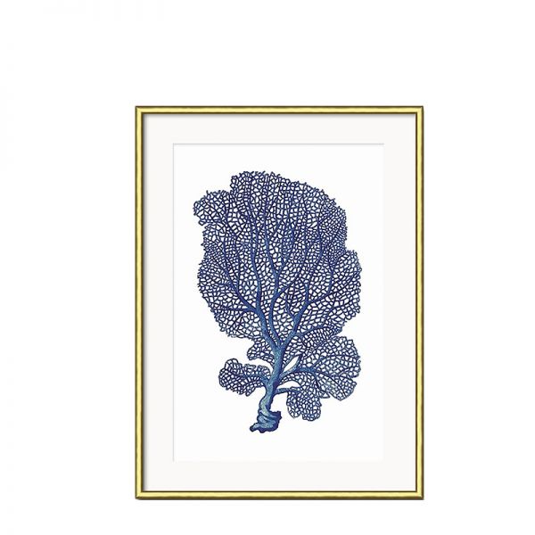 Grafika Blue Coral w złotej ramie I 31x41cm