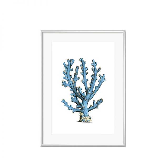 Grafika Blue Coral w białej ramie I 31x41cm