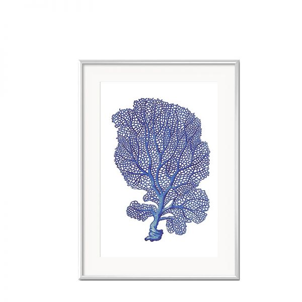 Grafika Blue Coral w białej ramie III 31x41cm