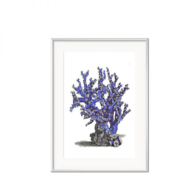 Grafika Blue Coral w białej ramie IV  31x41cm
